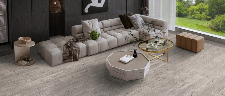 Colectie image